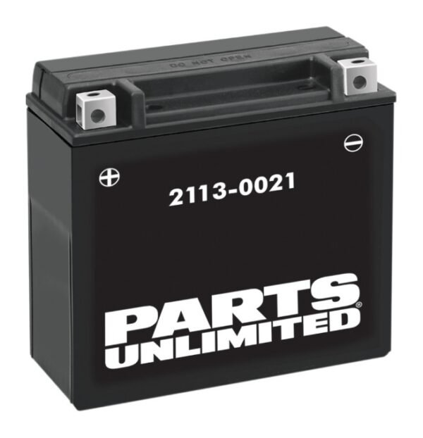 Parts Unlimited YTX20H High Performance Maintenance Free Battery For Harley 1979-2000