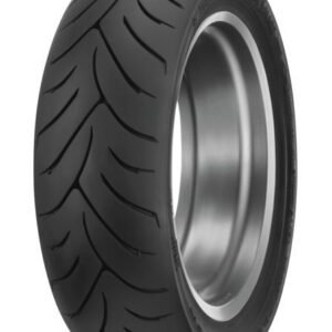 Dunlop Scootsmart 2 Tires