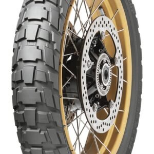 Dunlop Trailmax Raid Tires