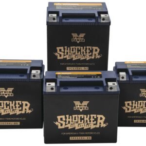 Twin Power Shocker Gel Battery